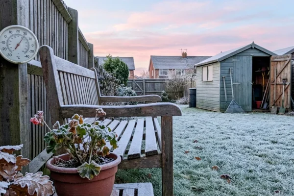 first-freeze-warning-season-prepare-1-1765277183