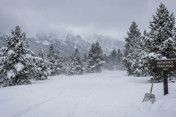 prepare-widespread-winter-storm-warnings-1-1765258073