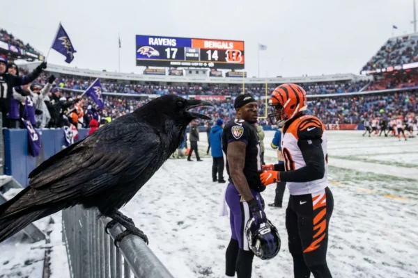 ravens-vs-bengals-playoff-stakes-freezing-temps-1-1765736001