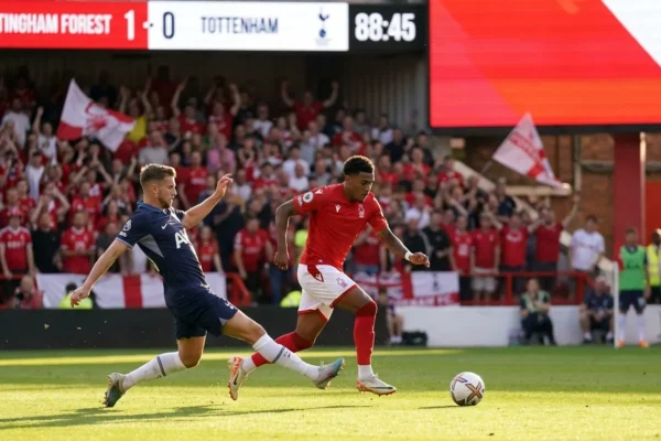 vicario-errors-hand-forest-3-0-shock-1-1765728722