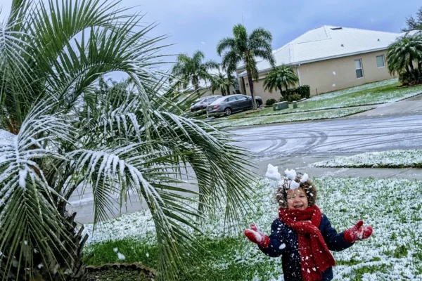 floridas-rare-snowfall-stuns-sunshine-state-1-1768801575