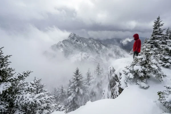 heavy-snow-hits-charlotte-north-carolina-freezes-1-1769879357